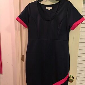 Nicki Minaj Navy Mini Dress with Pink Trim